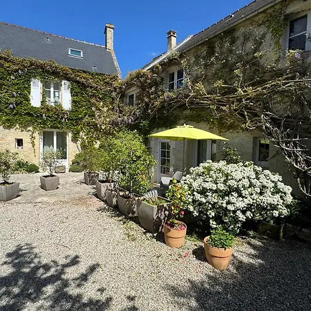 Mulberry * Saint-Côme-de-Fresné
